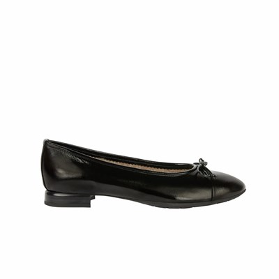 Chaussures Plates Brunate Lambskin Doublée Plates Shoes Femme Noir | 301-PBNYIK