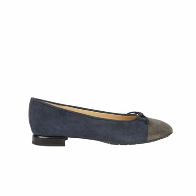 Chaussures Plates Brunate Two Toned Plates Shoes Femme Bleu Marine | 406-GCHAKT