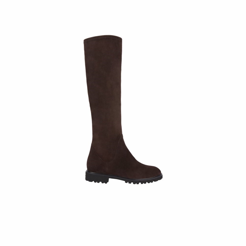 Bottes Hautes Brunate Sport Stretch Boot Femme Marron | 748-TBAGHE