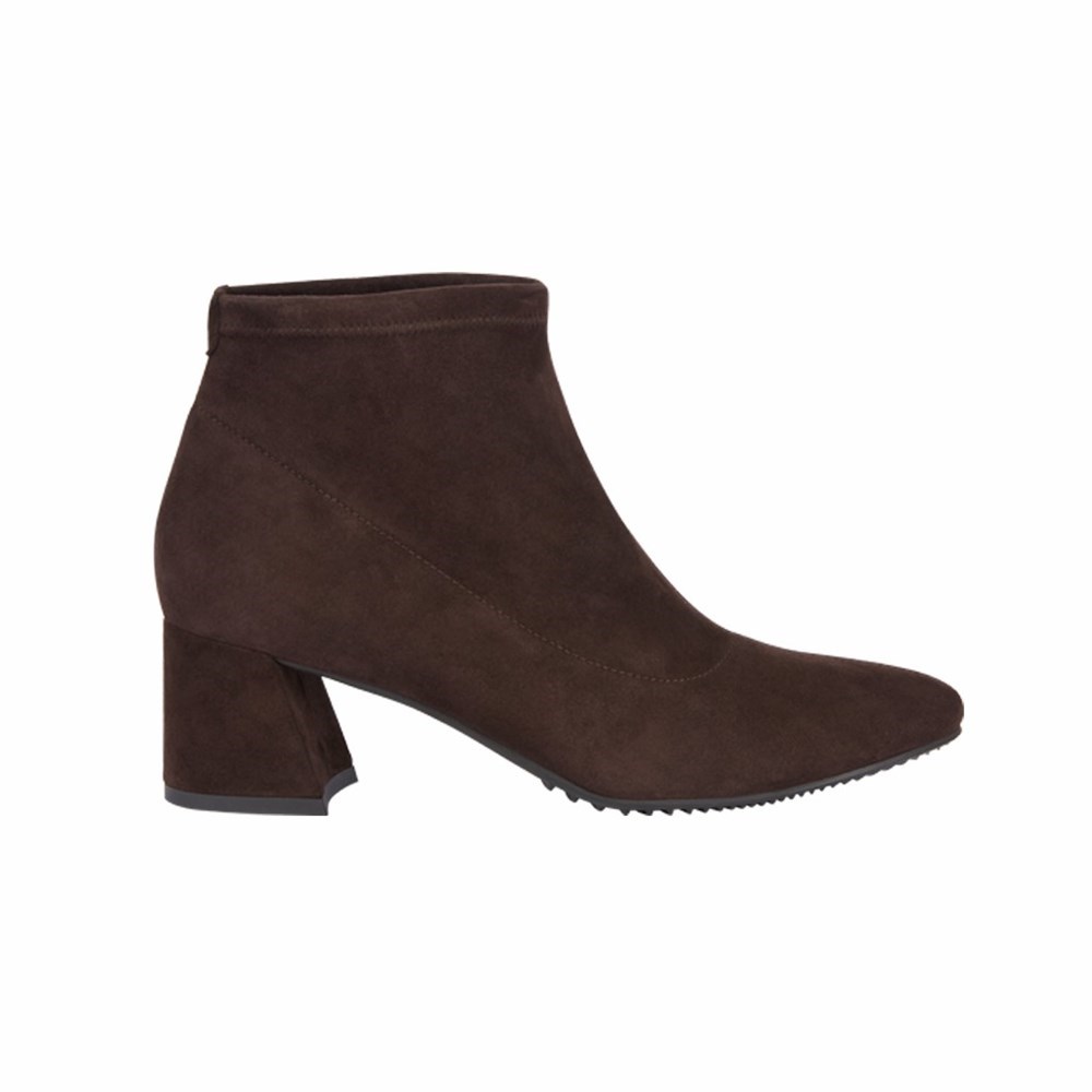 Bottines Brunate Stretch Booty Femme Marron | 982-KYBLVE