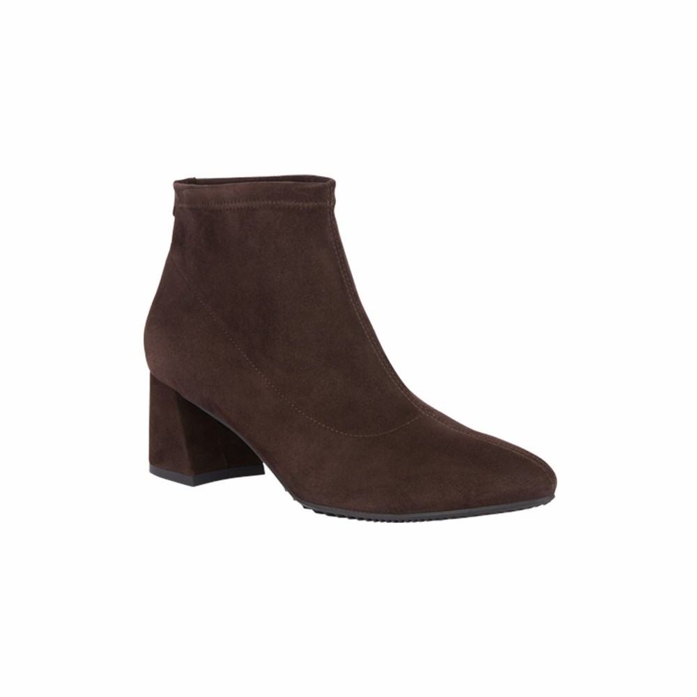 Bottines Brunate Stretch Booty Femme Marron | 982-KYBLVE