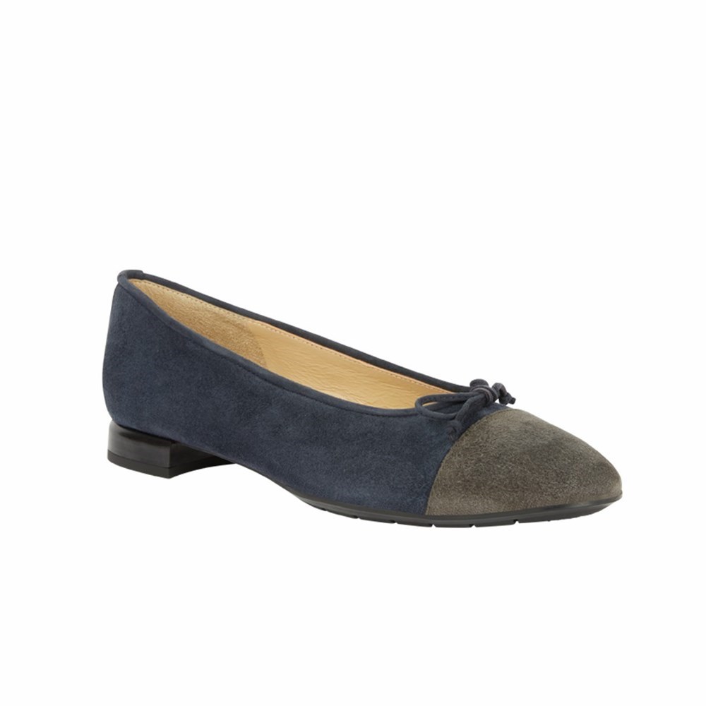 Chaussures Plates Brunate Two Toned Plates Shoes Femme Bleu Marine | 406-GCHAKT