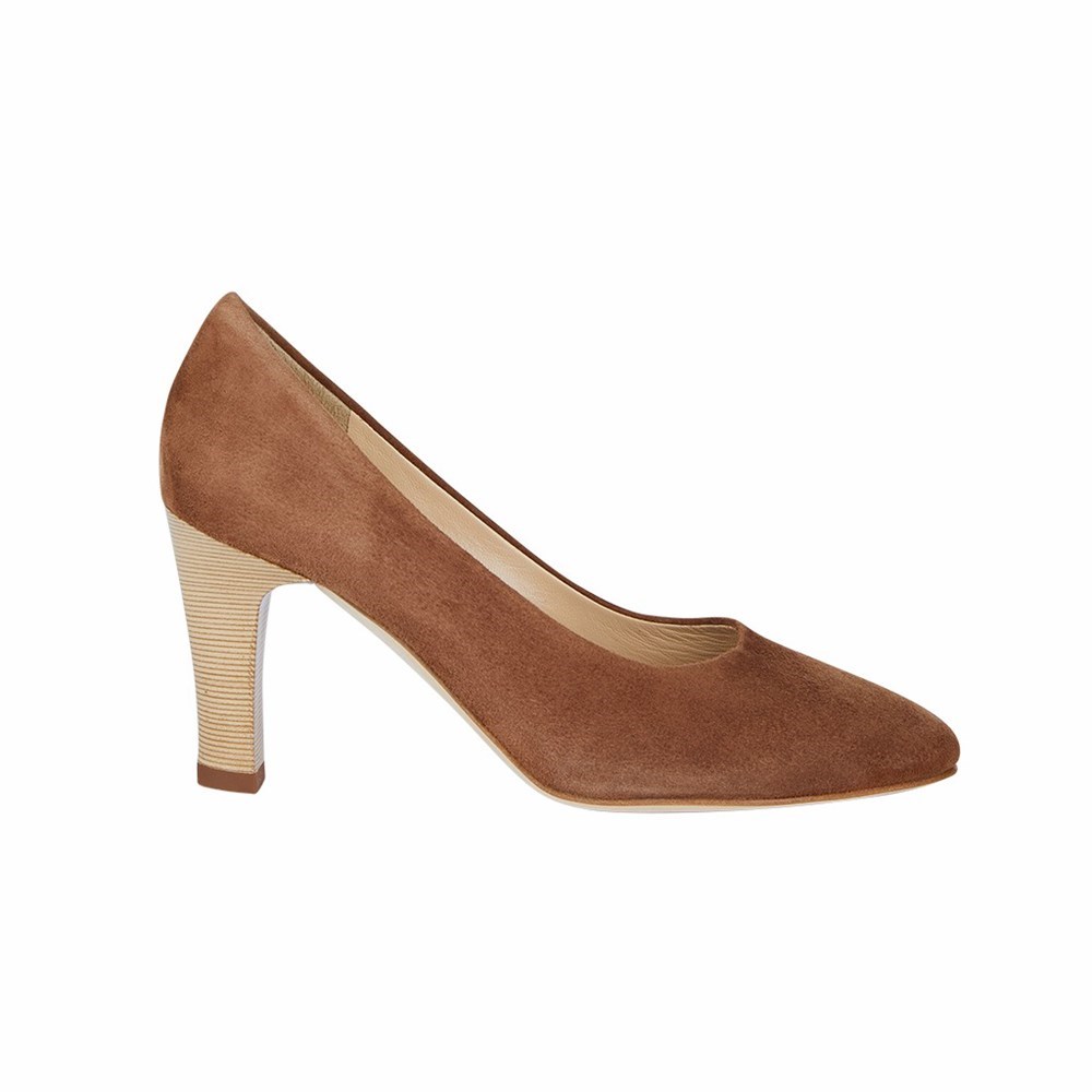 Escarpins Brunate Femme Marron | 019-NDWPOS